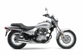 2009 Kawasaki Eliminator 125 photo